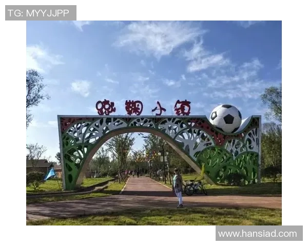 临淄区足球小镇：打造足球文化新高地，助力青少年成长与健康发展