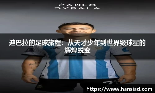 中国·BB贝博艾弗森